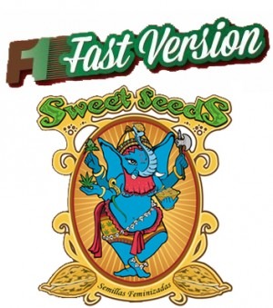 Fast Version - F1 semínka