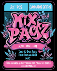 MIX PACKZ Auto Fast, samonakvétací feminizovaná semena, 33 ks