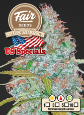 Fair Seeds Auto California Snow samonakvétací feminizovaná semena