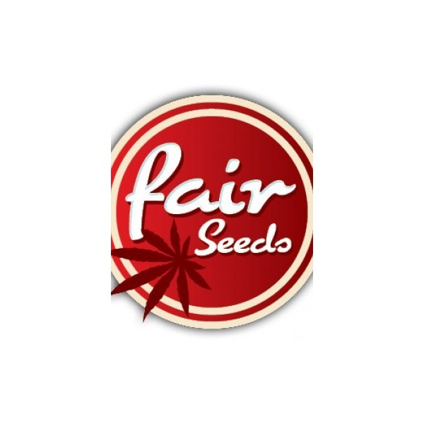 White Widow - Feminized Seeds 5 pcs Fair Seeds