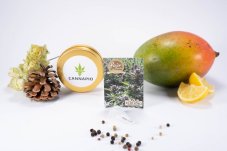 Outdoor MIX - selbstblühende Hanfsamen 5 Stück Fair Seeds
