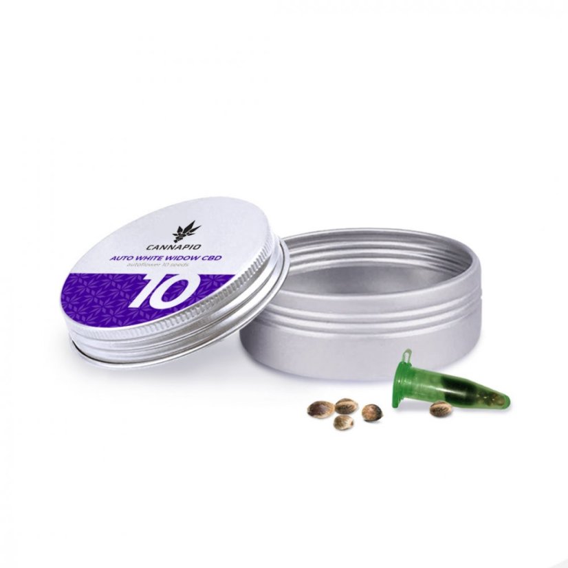 Auto White Widow CBD - selbstblühende Samen10 Stück Cannapio