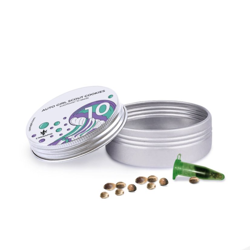 Auto Girl Scout Cookies - nasiona autokwitnące 10 szt. Cannapio