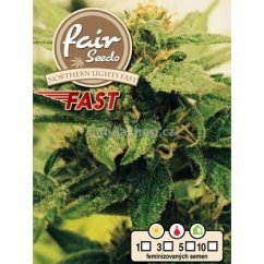 Northern Lights FAST - feminized marijuana seeds 5pcs Fair Seeds