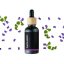 BIO Šanta kočičí - 100% přírodní esenciální olej (10ml) - Pěstík