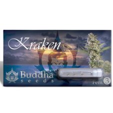 Kraken - Feminisierte Samen, 3 Stück, Buddha Seeds