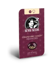 Grapevine Candy - feminisierte Samen, 5 Stück, Sensi Seeds