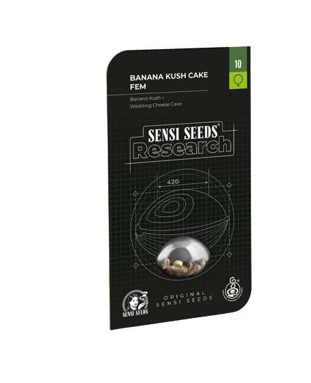 Banana Kush Cake - feminizovaná semínka 5 ks Sensi Seeds