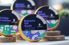 Banana OG Kush - feminized seeds 5 pcs Cannapio
