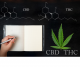 Therapeutic Cannabinoids 3: THCA