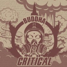 Buddha Critical, 10 pcs, Buddha Seeds