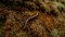 The Most Common Cannabis Pests 2/2