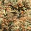 Cookies - izbové kvety CBD Cannapio, 3g