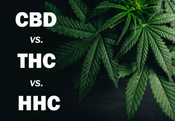 CBD vs. THC vs. HHC 