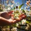 BIO Neroli - 100% natürliches ätherisches Öl (10ml) - Pestik
