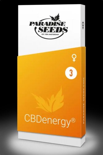 CBDenergy - feminizovaná semienka 3ks Paradise Seeds