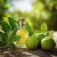 BIO Bergamot - 100% přírodní esenciální olej 10ml