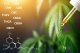 CANNABIS AND CANNABINOIDS: A GUIDE TO CANNABINOIDS AND THEIR EFFECTS