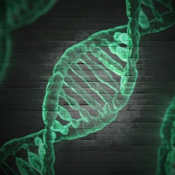Genetik von Cannabis: Neue Sorten und Züchtungsmethoden