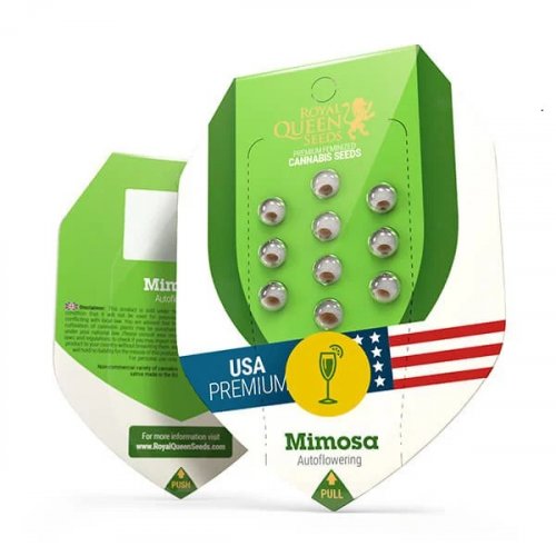 Mimosa Automatic - feminizované a samonakvétací semienka 10 ks Royal Queen Seeds