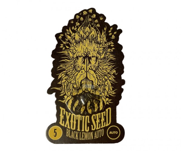 Black Lemon Auto - samonakvétací semena marihuany, 5ks Exotic Seed