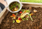 Compost Tea: An Organic Fertilizer for Cannabis