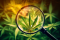 THCB: On the Trail of a Mysterious and Rare Cannabinoid
