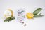 Auto Lemon Kix®  - feminizovaná a samonakvétací semínka 3 ks Dutch Passion