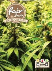 Indoor MIX - feminisierte Samen 5 Stück Fair Seeds