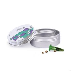 Gelato Fusion - nasiona autokwitnące 3 szt. Cannapio
