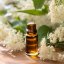 BIO Tausendschön - 100% natürliches infundiertes Öl (10 ml)
