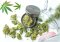 Hemp Grinders: A Guide to Usage and Tips for Choosing the Best Model