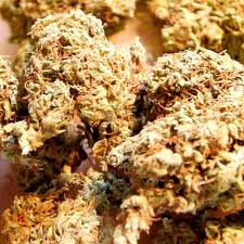 Pineapple Chunk - semillas feminizadas 5 uds Barney's Farm