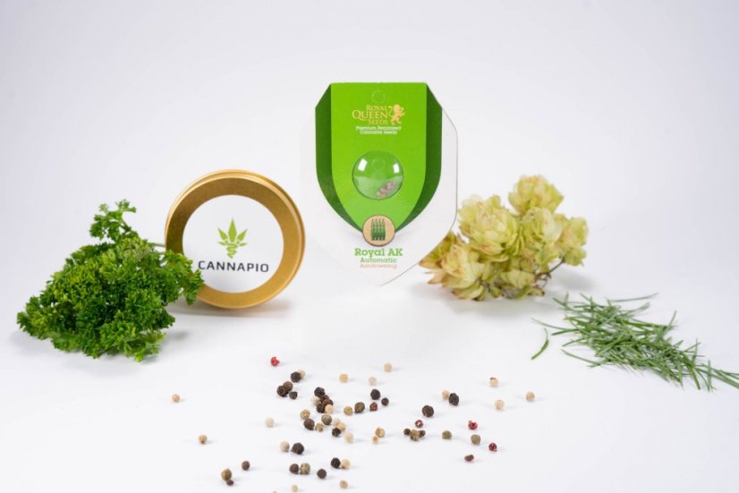 Royal AK Automatic - feminisierte und selbstblühende Samen 3 Stück Royal Queen Seeds