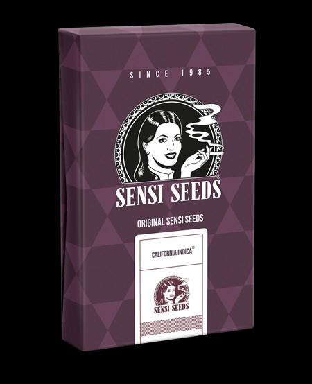 California Indica - feminizovaná semena marihuany, 5ks Sensi Seeds