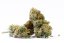 Pure Mountains CBD - Indoor CBD květy Cannapio 5g
