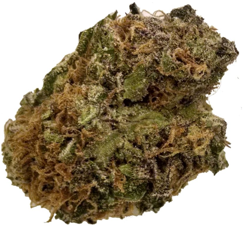 Grape Ape - feminizované semienka 10ks Barney´s Farm