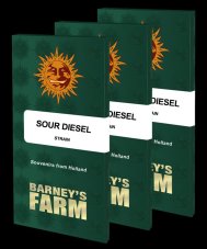 Sour Diesel - feminizované semená, 10 ks, Barneys Farm