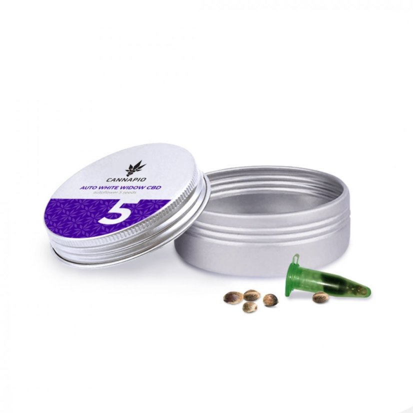 Auto White Widow CBD - 5 ks samonakvitacie semienka Cannapio