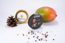 Swiss Dream Auto CBD - 10ks samokvitnúce semienka Kannabia Seeds
