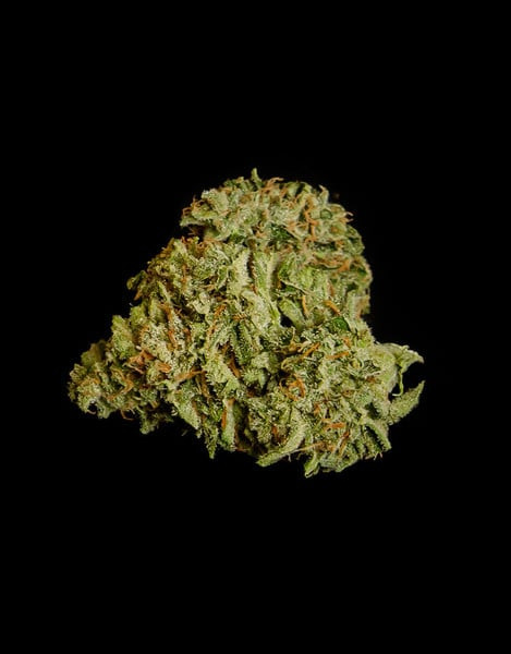 Titan F1 - samonakvétacie semená 10ks, Royal Queen Seeds