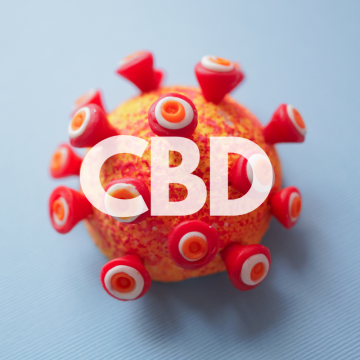 CBD als Hilfe bei der Behandlung von COVID-19-Erkrankungen?