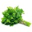 BIO Parsley - 100% Natural Essential Oil (10ml) - Pestik