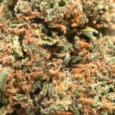 Cookies - Indoor CBD Flowers Cannapio, 10g
