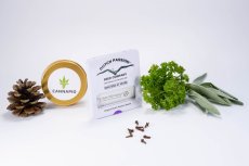 Auto CBD-Victory® - feminizowane i samokwitnące nasiona 7 szt Dutch Passion