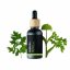 Angelika - 100% prírodný esenciálny olej (10ml) - Pestík