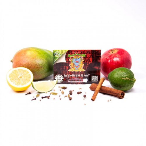 Red Gorilla Girl XL Auto - nasiona feminizowane 3 szt Sweet Seeds