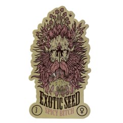 Spicy Bitch - feminized marijuana seeds, 3pcs Exotic Seed