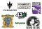 Best Seed Banks