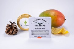 Critical Orange Punch® - feminized seeds 5pcs Dutch Passion